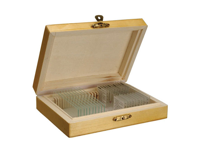 Konus Set 10 Preparaciones Microscópicas La Reproducción en Animales Vertebrados