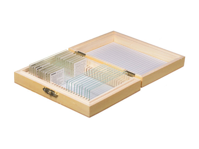 Konus Set 10 Muestras Para Microscopio Protozoos - Preparaciones Microscópicas Educativas