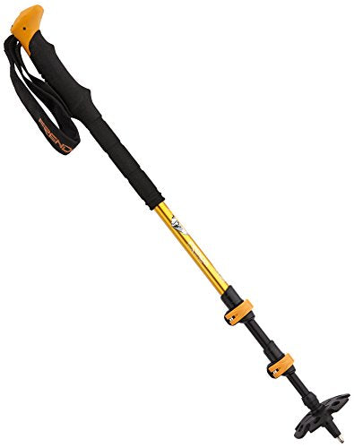 Amazon imagen 2