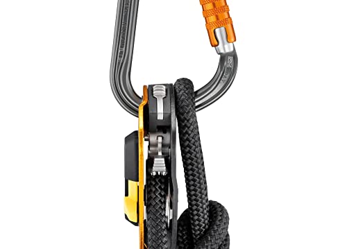 Amazon imagen 6