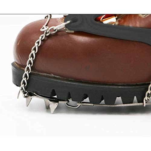 Amazon imagen 2