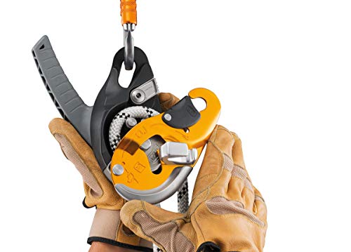 Amazon imagen 6