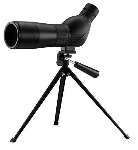 Amazon imagen 5