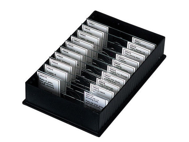 Konus Set 10 Muestras Microscopio Peces Ranas Anfibios - Preparaciones Zoología