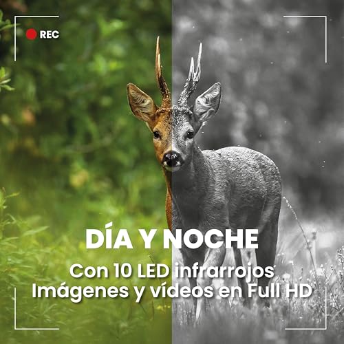 Amazon imagen 8