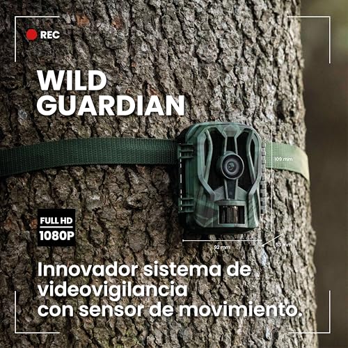 Amazon imagen 6