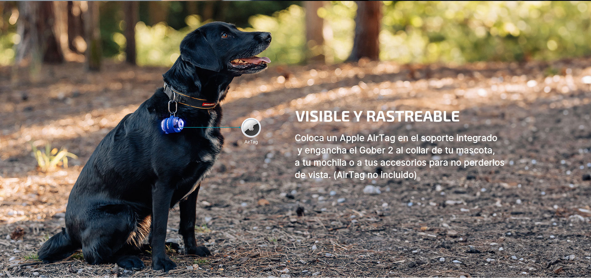 Foto proveedor El Calden - OL-1504