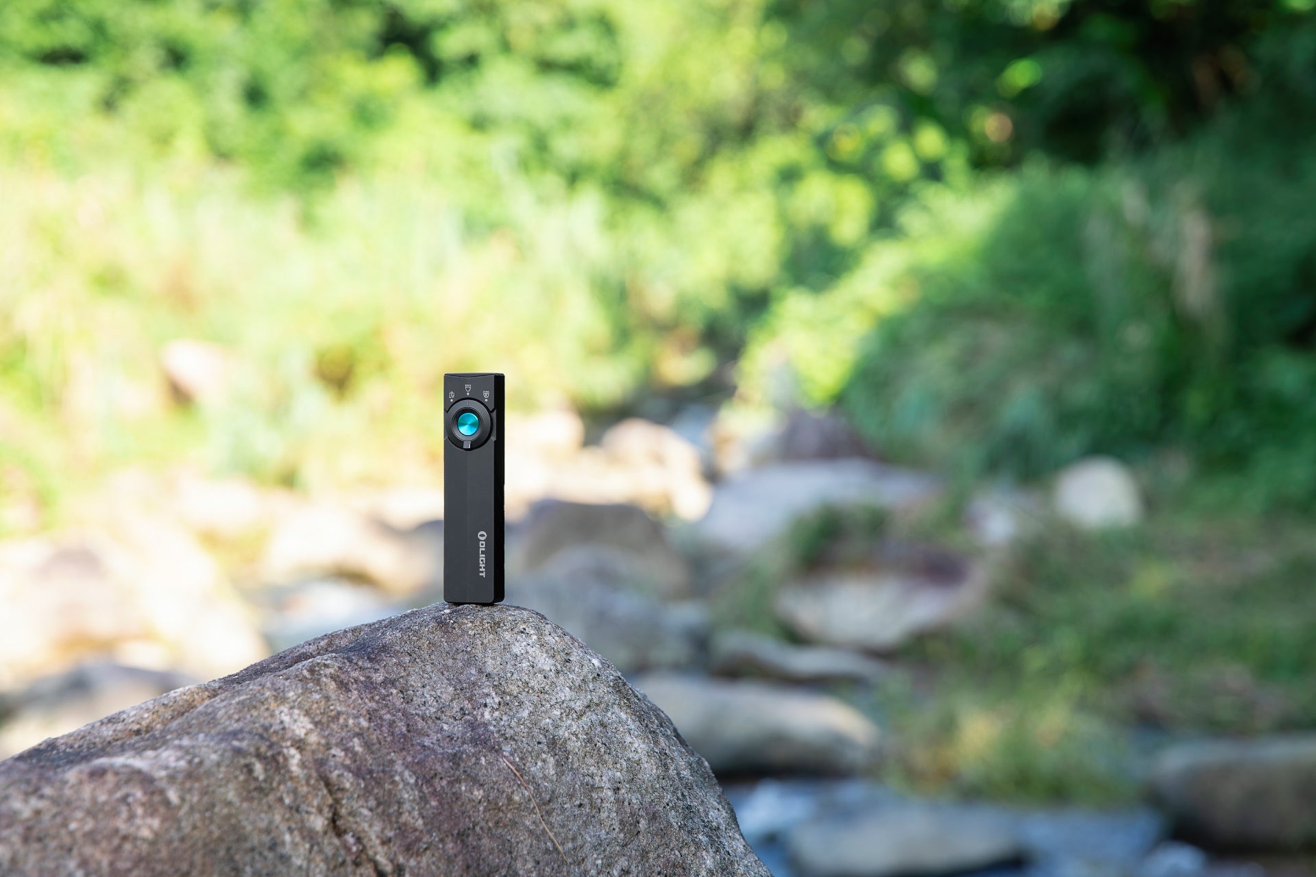 Foto proveedor El Calden - OL-4081