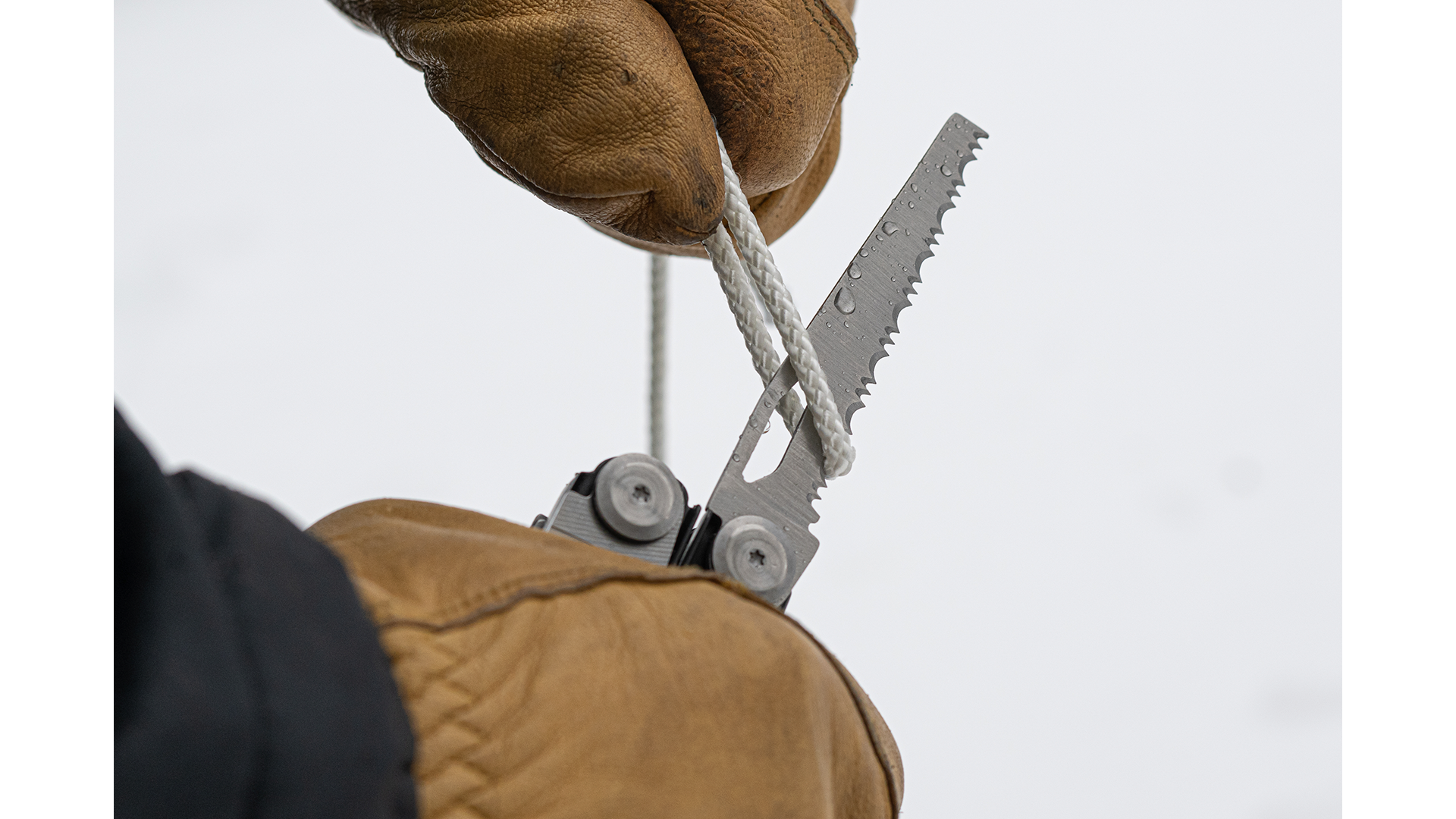 Foto proveedor El Calden - NS-11510