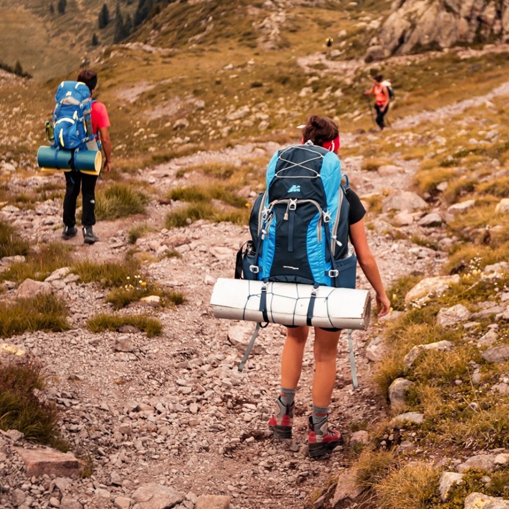 Foto proveedor El Calden - 802001