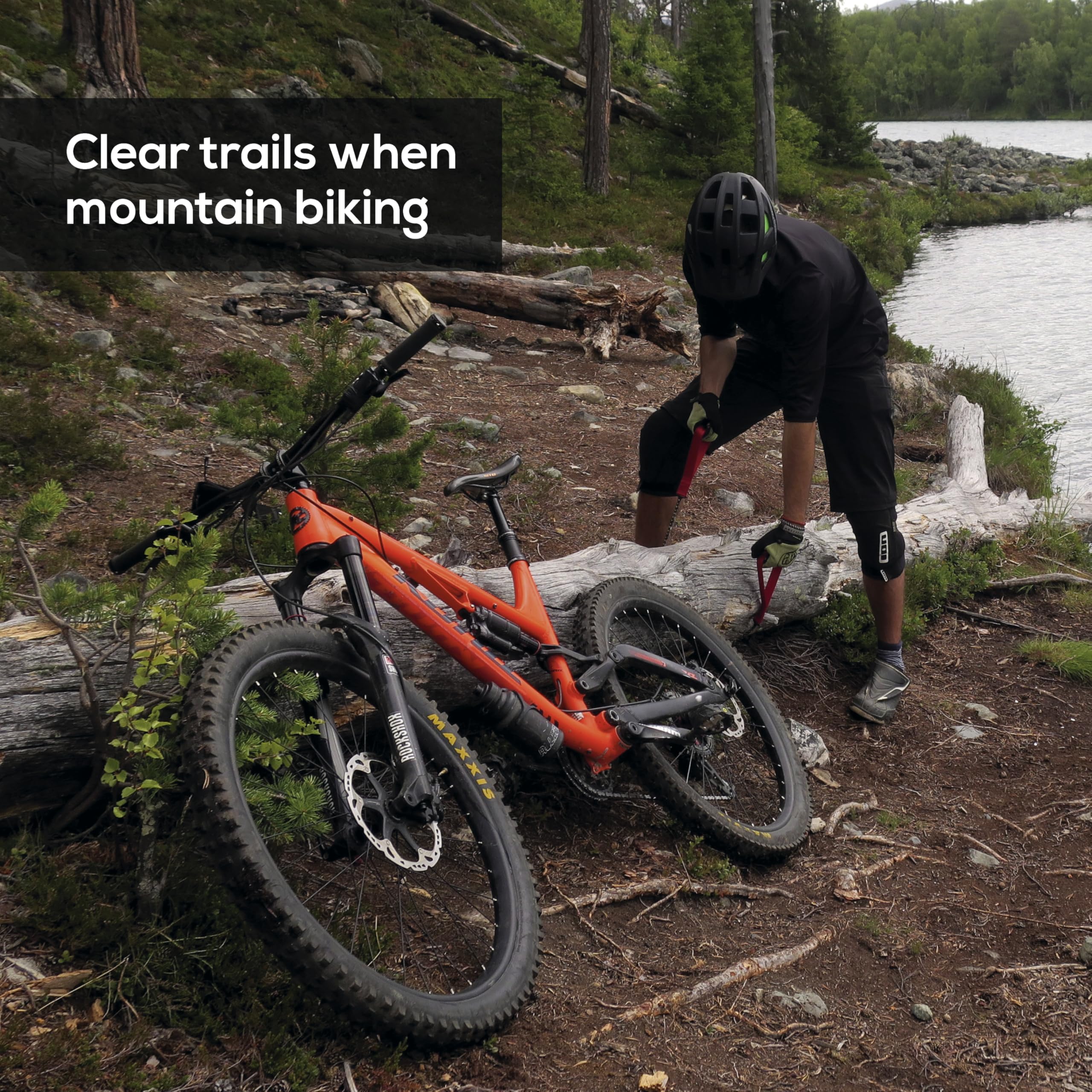 Amazon imagen 7